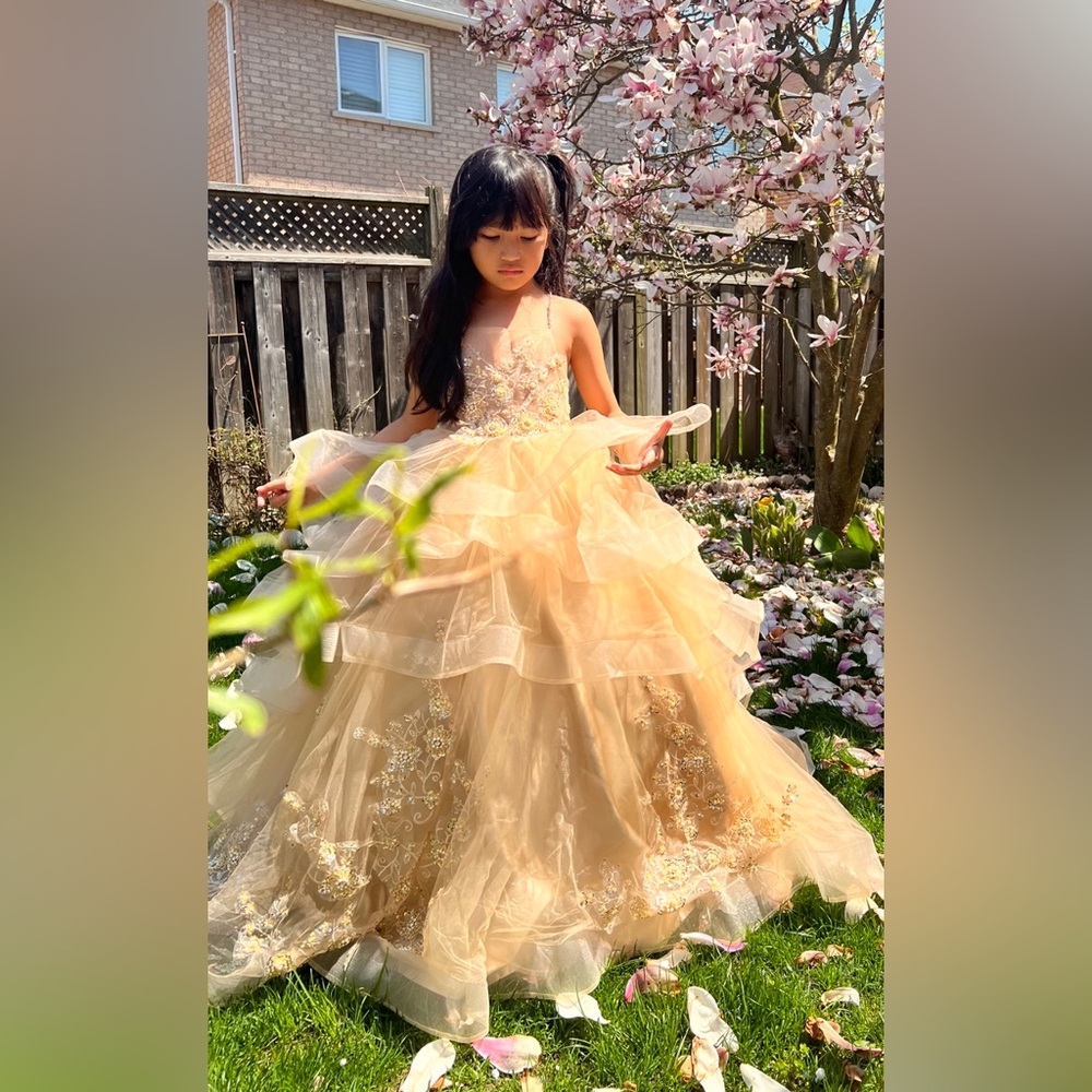 Beautiful fancy gown